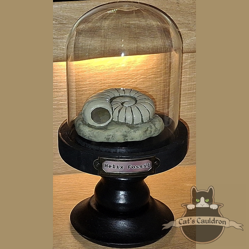Helix fossil versteend in stolp