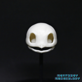 Anime figure #007 skull in bell jar