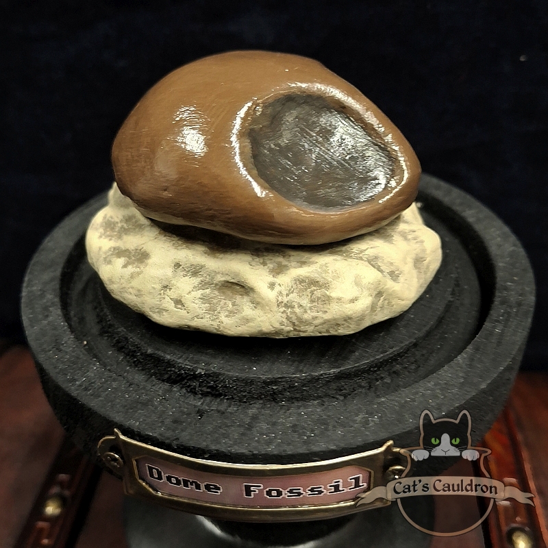 Dome fossil versteend in stolp