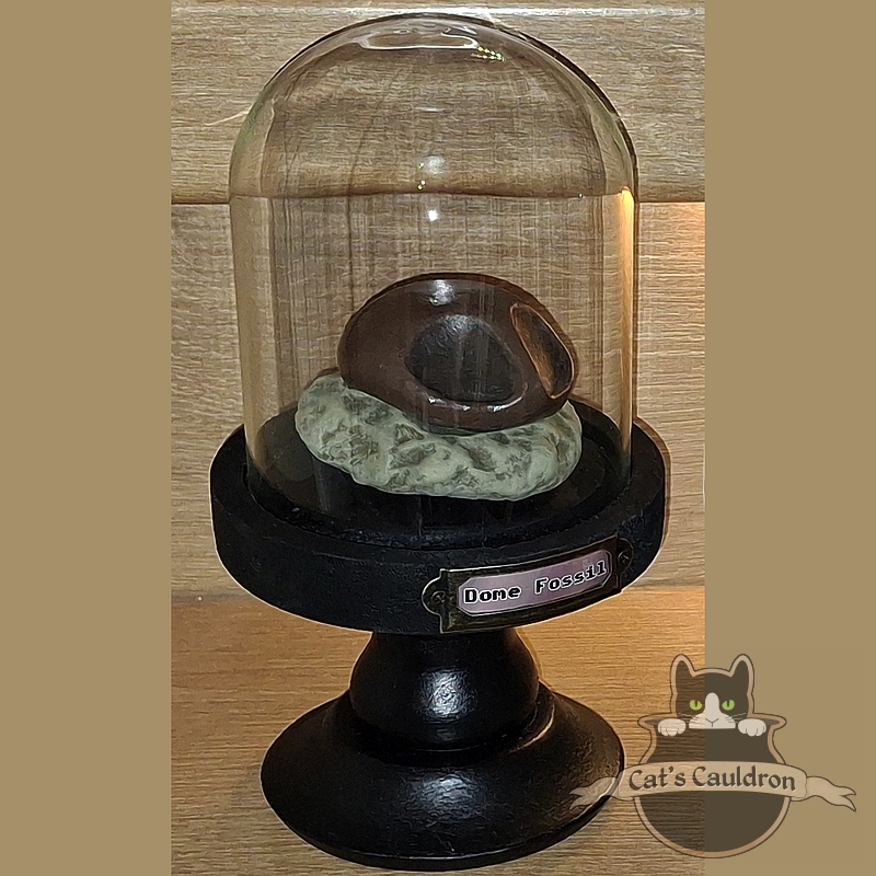 Dome fossil versteend in stolp