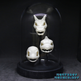 Anime figures #004 #005 #006 skulls in bell jar