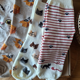Cat socks 5 pairs cream and beige size 36-40