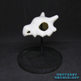 Anime figure #104 skull in bell jar