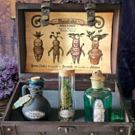 Mandrake Anatomie en Potions kist