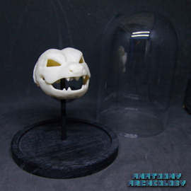 Anime figure #009 skull in bell jar