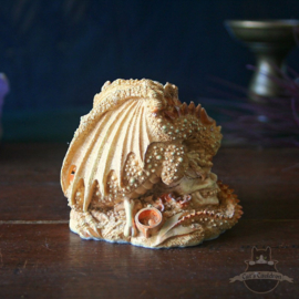 Dragon figure secret trinket box 'Skull'