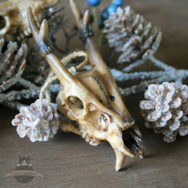 Kerstmis set van 4 schedel ornamenten