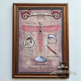 Phoenix art print in A4 frame
