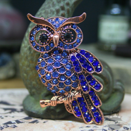 Blue owl brooch decorated with stones