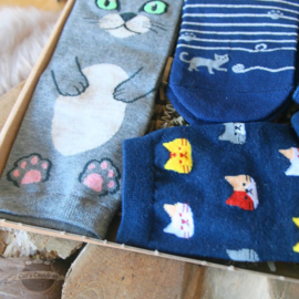 Cat socks 5 pairs blue and grey size 36-40