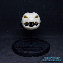 Anime figure #009 skull in bell jar