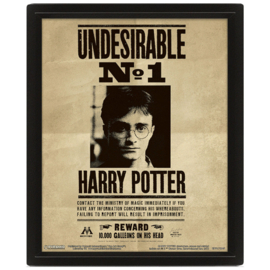Harry Potter / Sirius Black bewegende 3D Poster Officieel