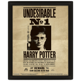 Harry Potter / Sirius Black Poster mit 3D-Effekt Offiziell