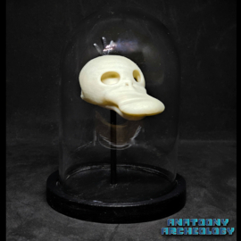 Animatie figuur #054 schedel in stolp
