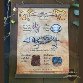 Fantastic creature anatomy poster on canvas