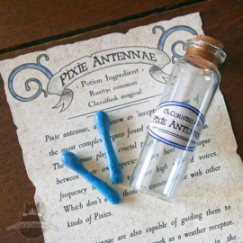 Pixie anatomy potions chest