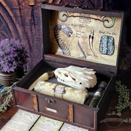 Basilisk XL Anatomy Potions Chest