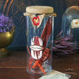 Phoenix Feathers in glass jar