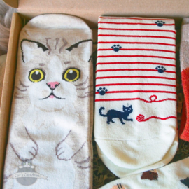 Cat socks 5 pairs cream and beige size 36-40