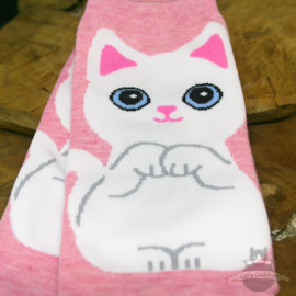 Pink sneaker socks Turkish Angora cat size 35-40