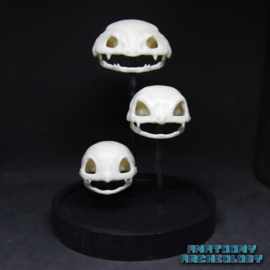 Anime figures #001 #002 #003 skulls in bell jar