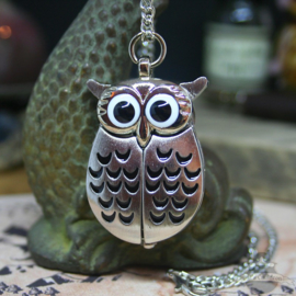 Owl watch silver colored necklace with hidden clock