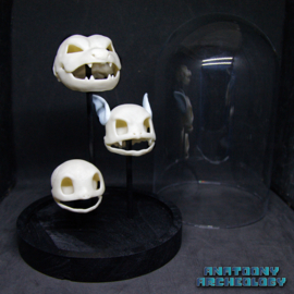 Anime figures #007 #008 #009 skulls in bell jar