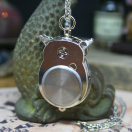 Owl watch silver colored necklace with hidden clock