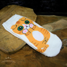 White sneaker socks Scottish Fold cat size 35-40