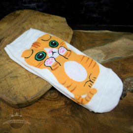 Witte sneakersokken met oranje kat Scottish Fold mt.35-40