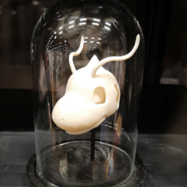 Anime figure #149 skull in glass bell jar