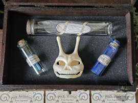 Pixie Anatomy Chest with Skull and Potions ingredients
