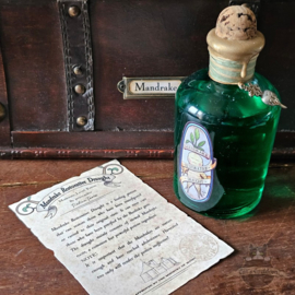 Mandrake Anatomie en Potions kist