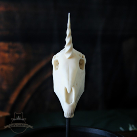 Unicorn Skull in glass bell jar