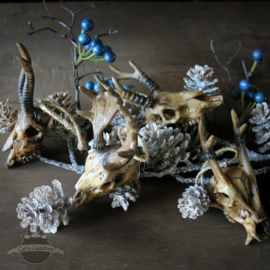 Kerstmis set van 4 schedel ornamenten