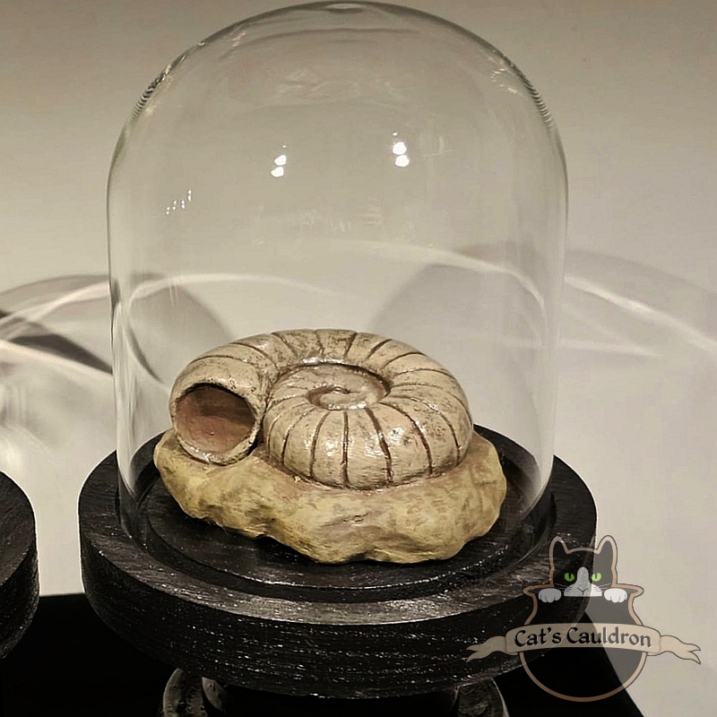 Helix fossil versteend in stolp