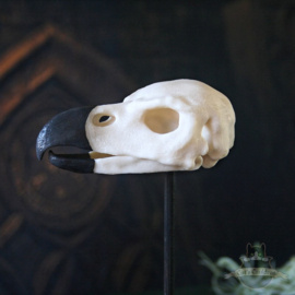 Phoenix skull in glass bell jar