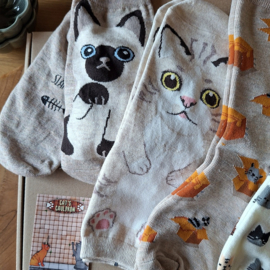 Cat socks 5 pairs cream and beige size 36-40