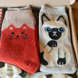 Cat socks 5 pairs cream and beige size 36-40