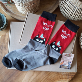 Cat Socks What's Up? size 40-46