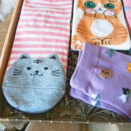 Cat socks 5 pairs pink lila and ecru size 35-39