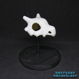 Anime figure #104 skull in bell jar