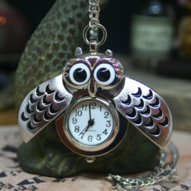 Owl watch silver colored necklace with hidden clock