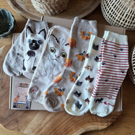 Katzensocken 5 Paar ecru und beige Größe 36-40
