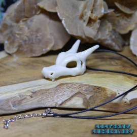 Anime Dragon #006 Dragon Skull necklace