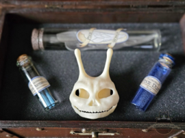 Pixie Anatomy Chest with Skull and Potions ingredients