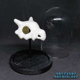 Anime figure #104 skull in bell jar