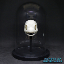 Anime figure #004 skull in bell jar