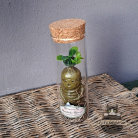 Baby Mandrake Sprout (screaming)