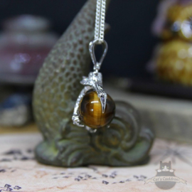 Dragonclaw necklace holding a Tiger Eye stone